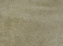123